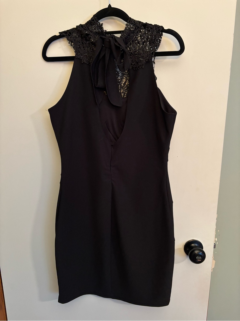 le chateau Black Lace-High Neck Sleeveless Mini Dress - Picture 2 of 2